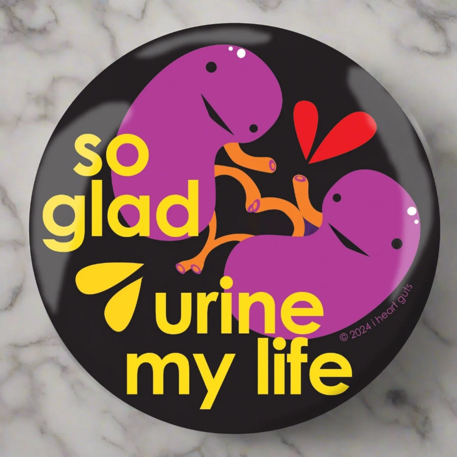 Kidney So Glad Urine My Life 자석 | 귀여운 신장 수술 선물, 귀여운 장기 기증 인식 자석