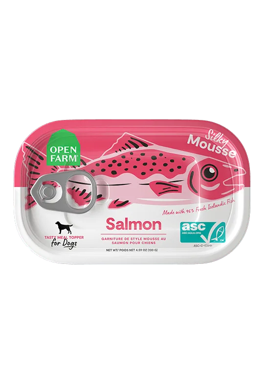 The Ultimate Guide to Cat Supplements: Which Ones Does Your Feline Really Need?