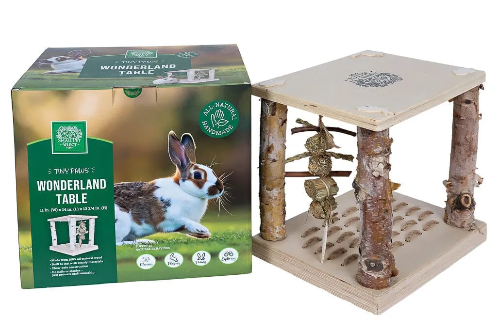 Tiny Paws Wonderland Play Table