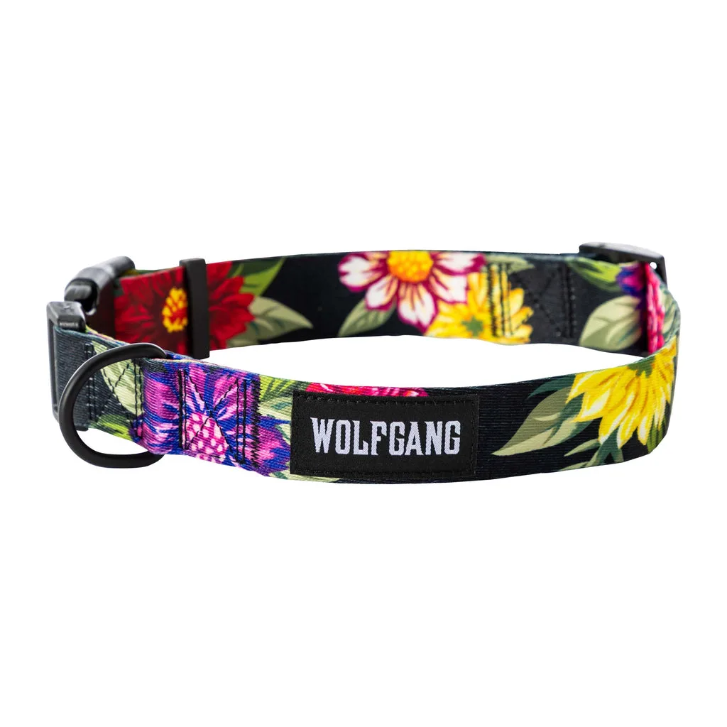 Adventure-Ready Dog Gear: What to Look for in Outdoor Collars, Harnesses, and Leashes