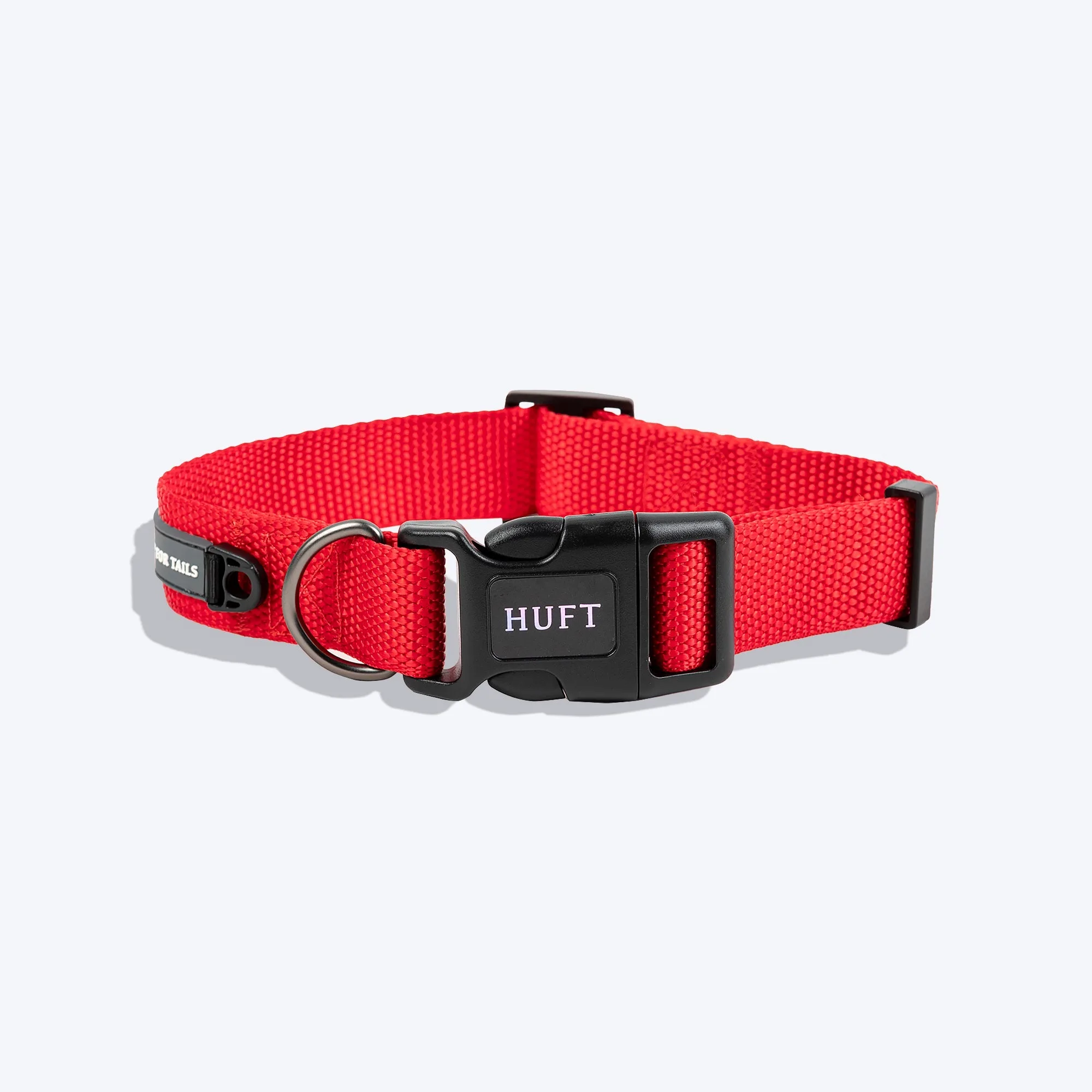 Cómo elegir el collar adecuado para pasear a tu perro