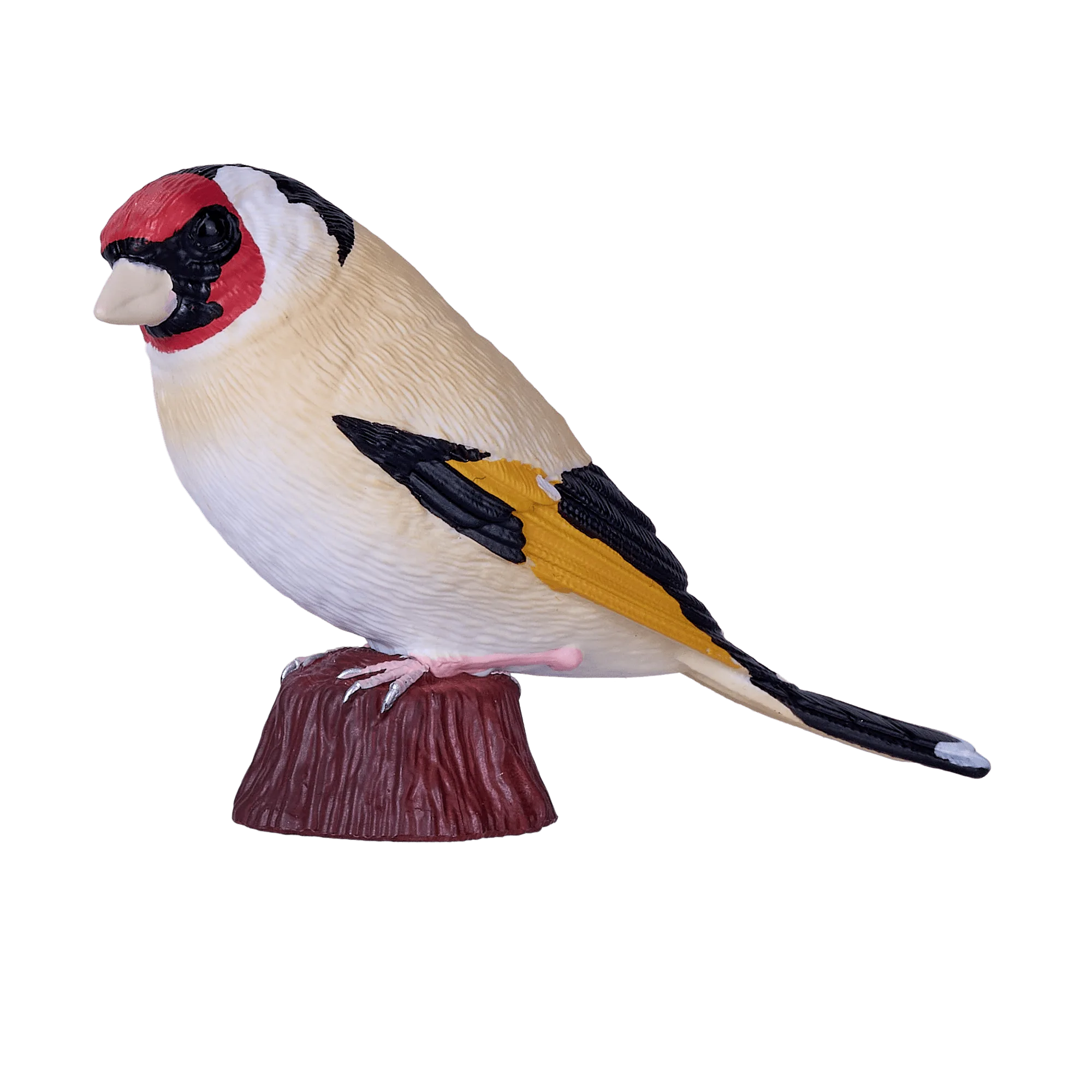 European Goldfinch
