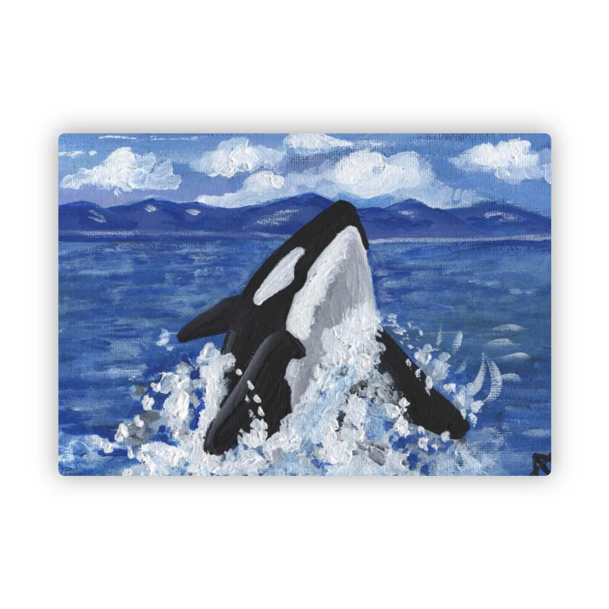 Orca Sticker