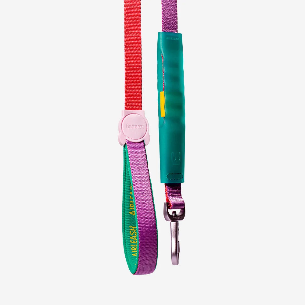 How to Choose the Right Leash for Your Dog's Size and Strength